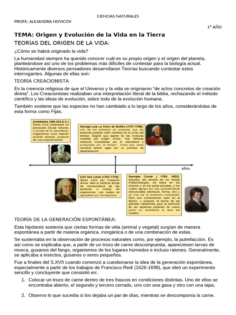 Teorías del Origen de la Vida | PDF | Biología | Naturaleza