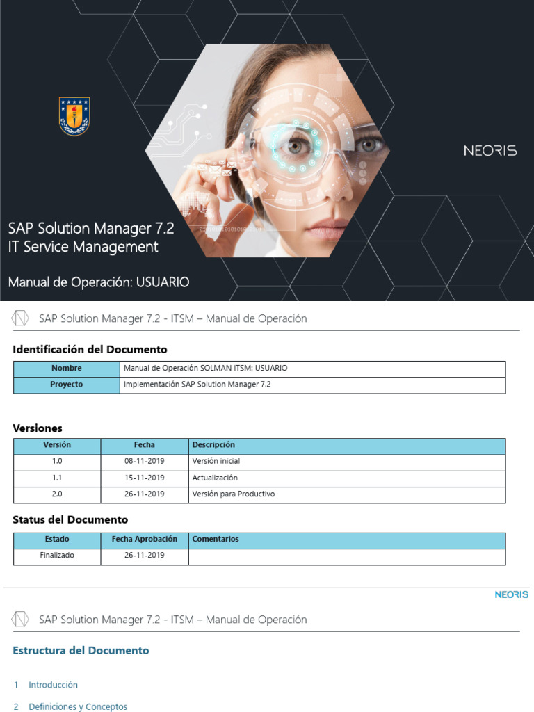 Manual de Operación ITSM SolMan 7.2 | PDF | Contraseña | Usuario ...