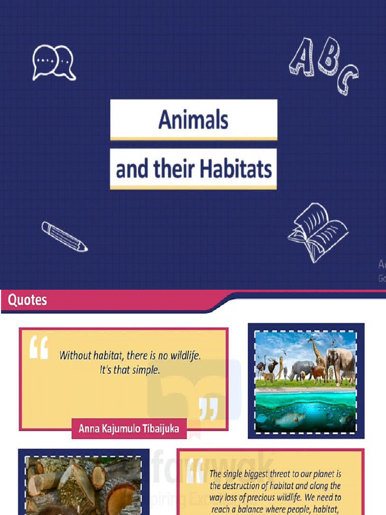 Animals and Their Habitats Explained | PDF