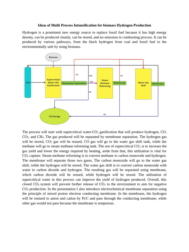 Biomass Hydrogen Production Techniques | PDF