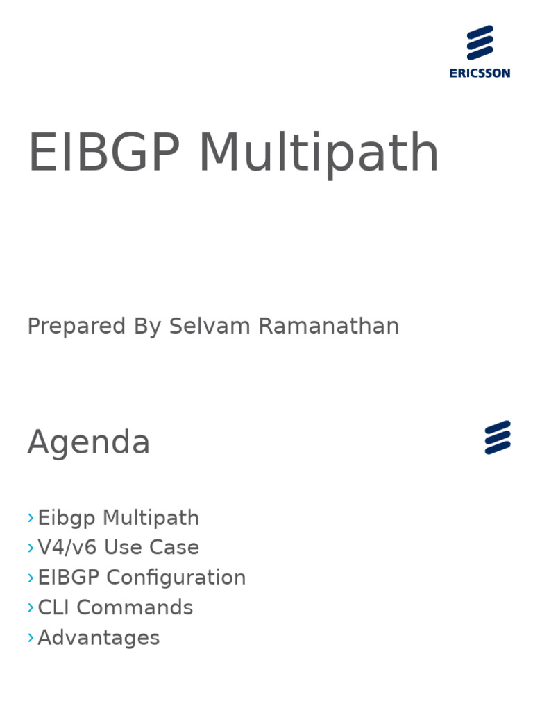 EIBGP Multipath Configuration Guide | PDF