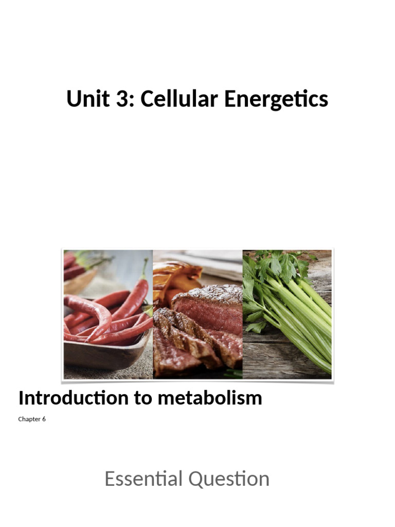 Understanding Cellular Energetics | PDF | Enzyme | Active Site