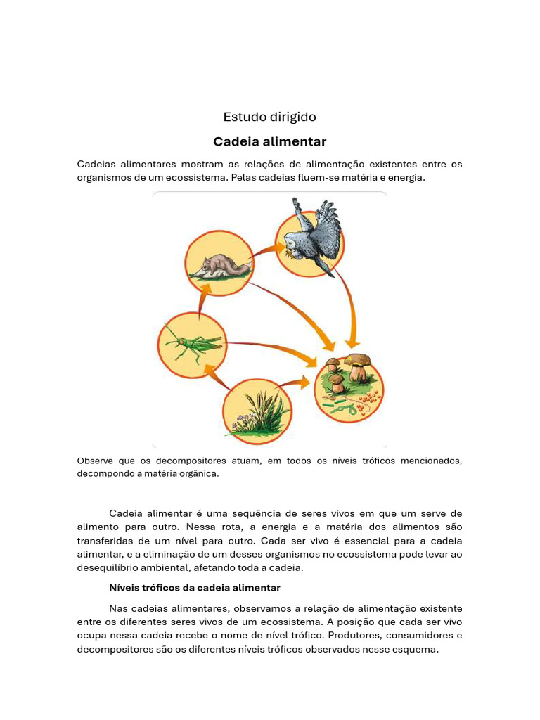 Cadeia alimentar no 4º ano: Dicas e atividades, image size:768x1024