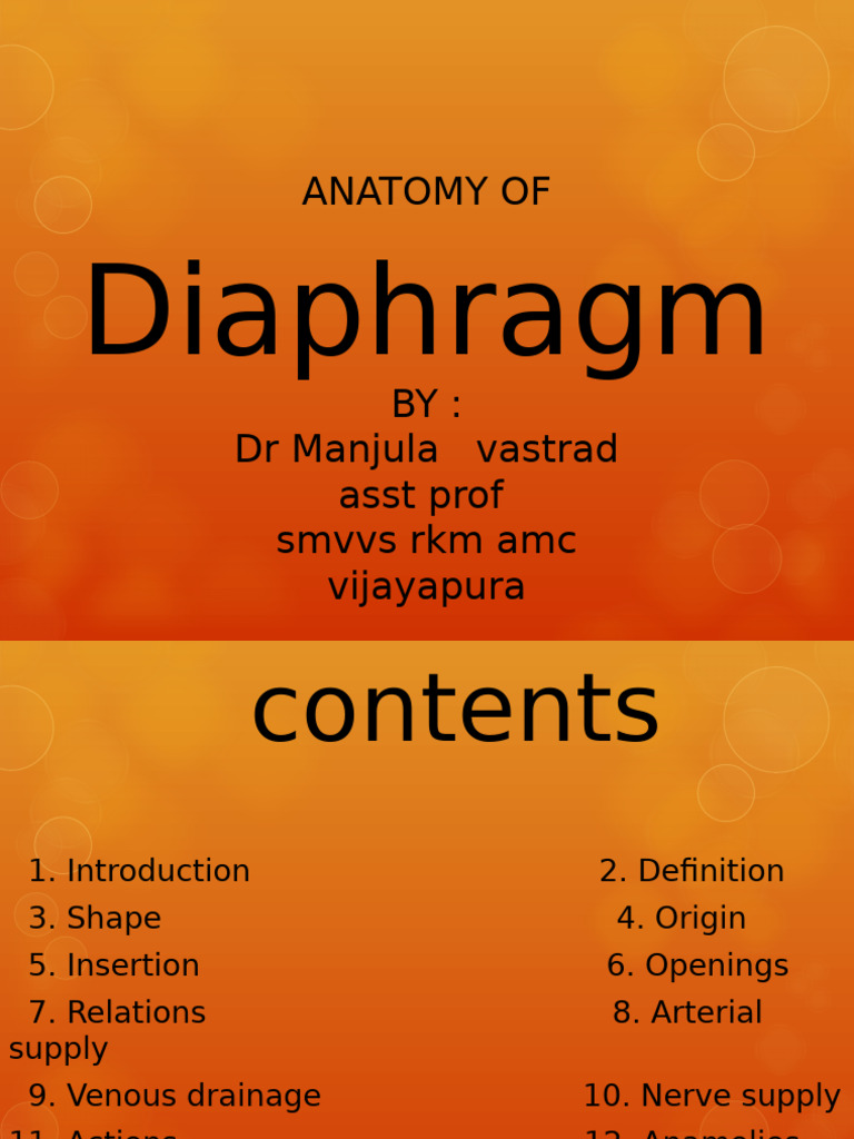 PowerPoint Presentation+.Ppt | PDF | Abdomen | Musculoskeletal System