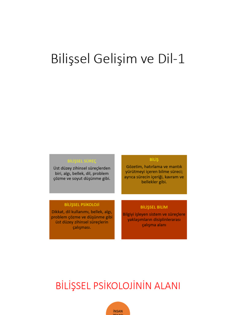Bilişsel Gelişim Ve Dil | PDF