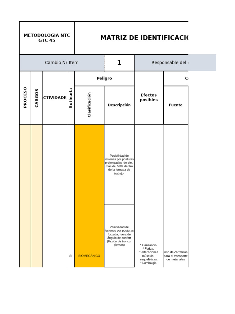Identificación y Evaluación de Riesgos Laborales | PDF | Dolor lumbar