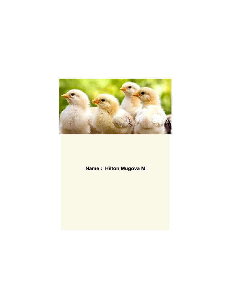 Party Invitation 4 | PDF | Chicken | Broiler