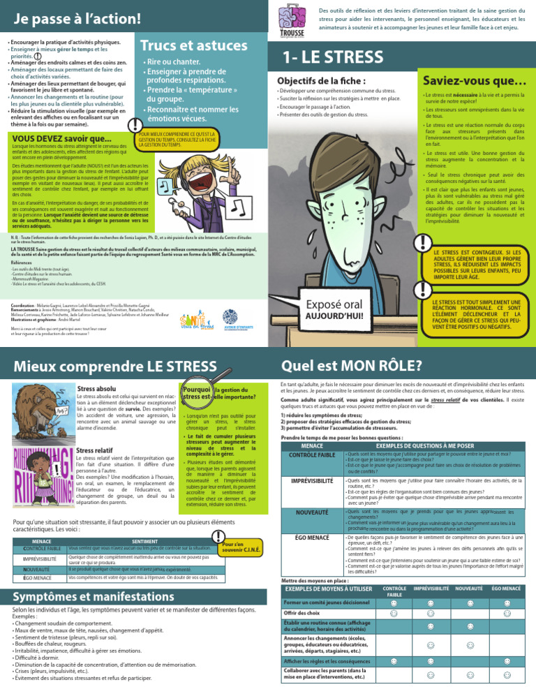 Outils pour une saine gestion du stress | PDF | Stress (Biologie ...