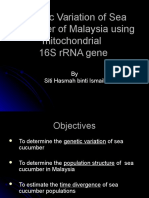 Proposal Presentation Sea Cucumber