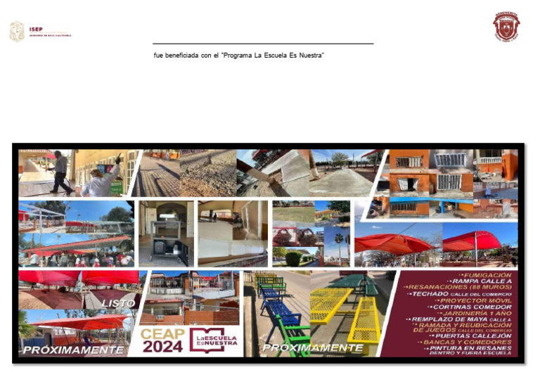 Ceap Pleen | PDF