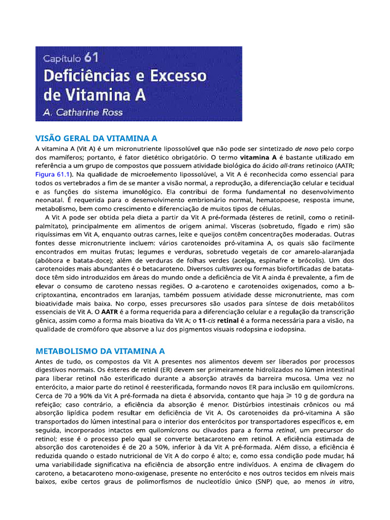 Vitamina A Pdf