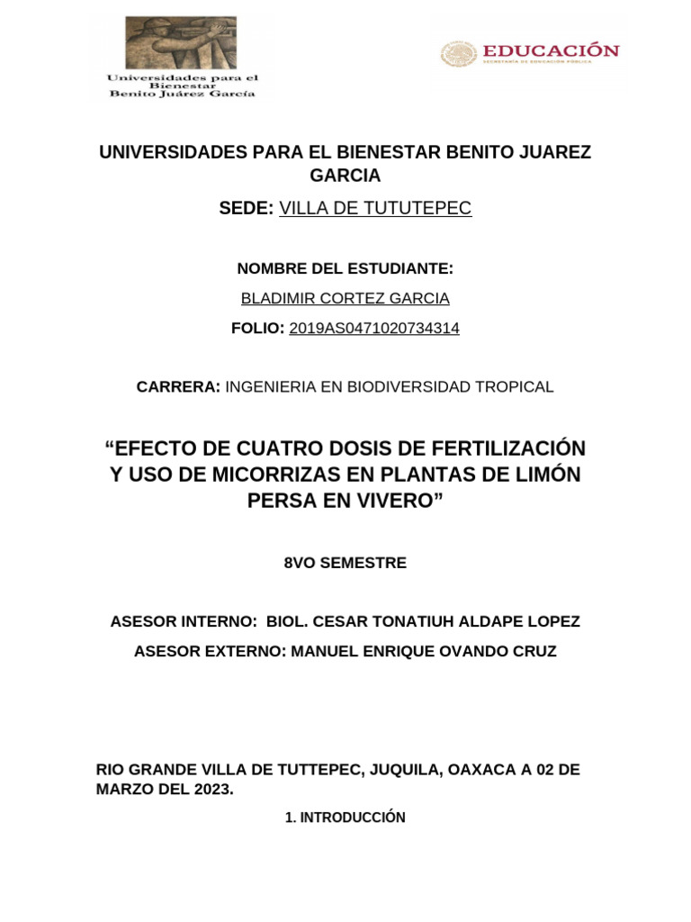 PROTOCOLO PROF. BLADIMIR