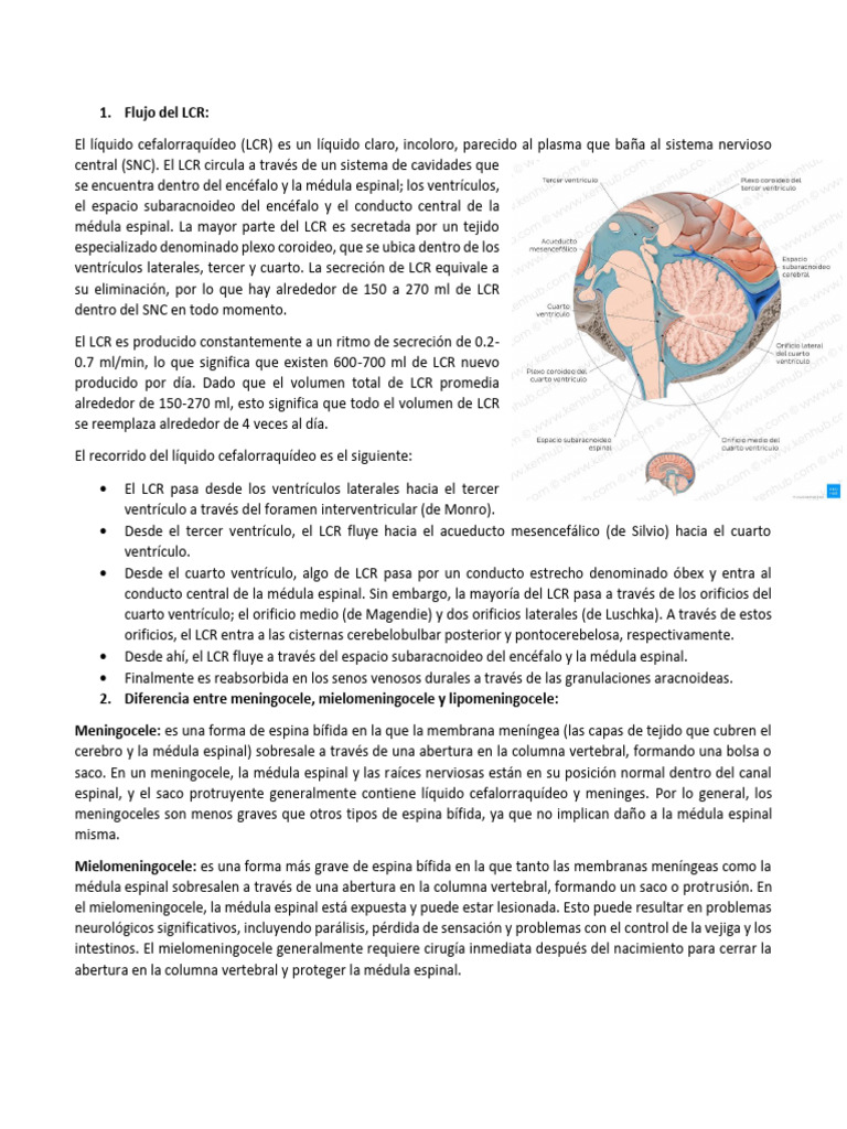 Flujo y edema transependimario del LCR | PDF | Fluido cerebroespinal ...