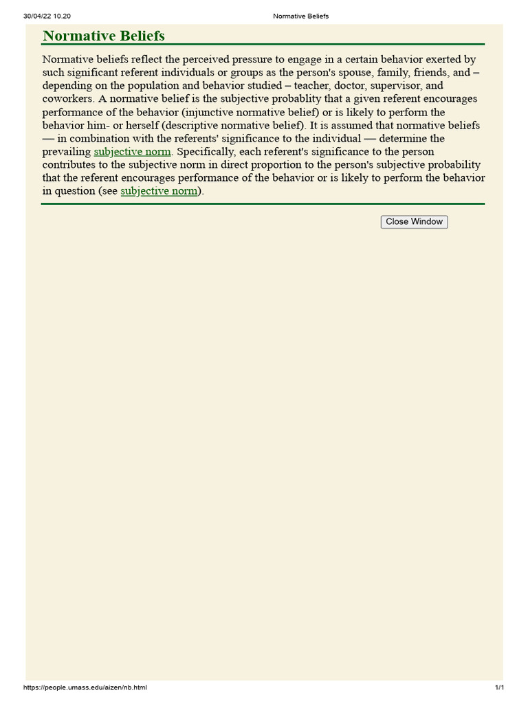 Understanding Normative Beliefs | PDF
