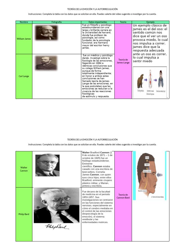 Teorías de la Emoción y Autorregulación | PDF | Las emociones ...