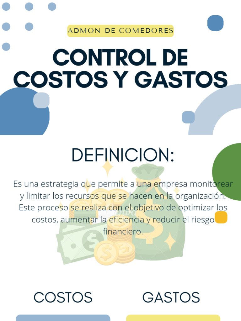 Control de Costos y Gastos en Proyectos | PDF | Presupuesto | Business