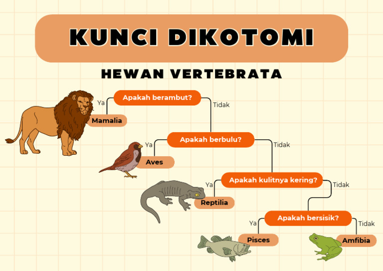 Kunci Dikotomi Hewan Vertebrata | PDF