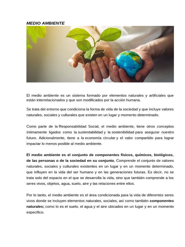 Importancia del Medio Ambiente y Su Cuidado | PDF | Entorno natural ...