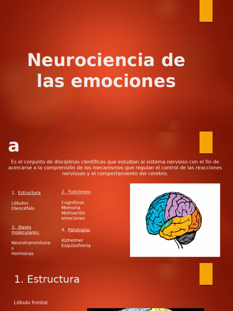 2.3 Aportaciones de La Neurociencia de Las Emociones | PDF | Cerebro ...