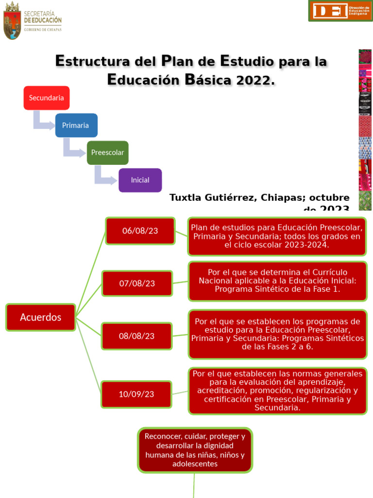 Plan de Estudio Educación Básica 2022 | PDF | Educación de la primera ...