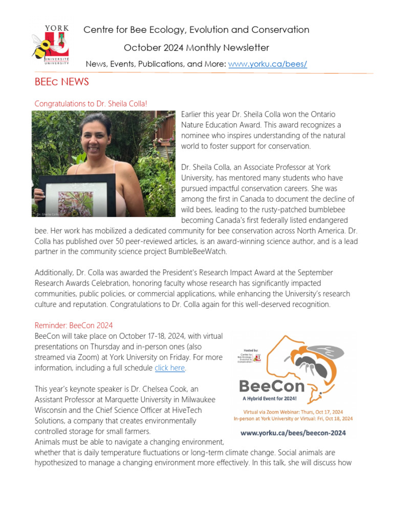 BEEc Newsletter 2024-10 | PDF | Honey Bee | Bees
