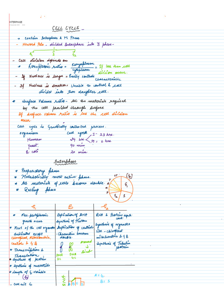 Interphase Overview - September 2022 | PDF