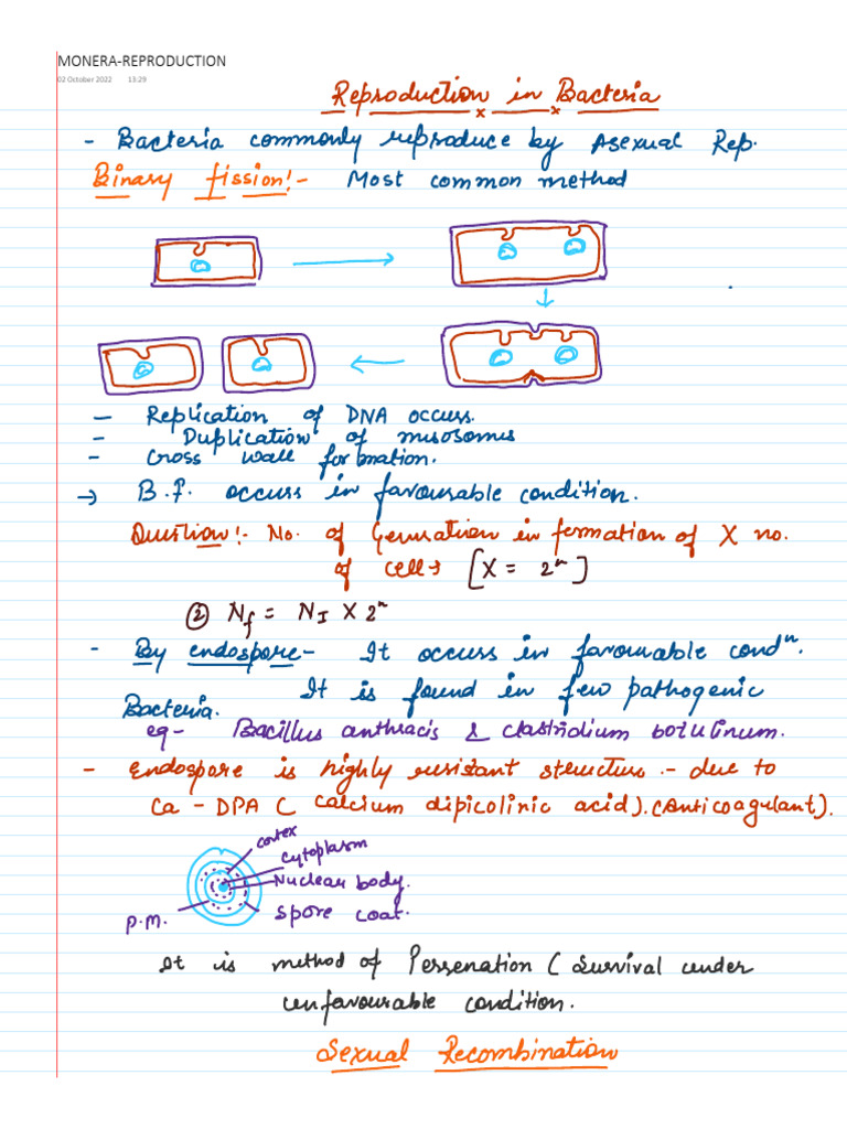 Monera Reproduction Explained | PDF