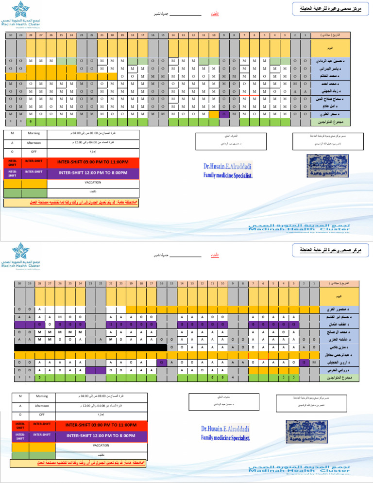 Doctors Rota - Nov2024 | PDF