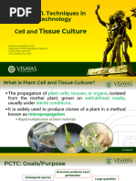 Explant Definition and Types in Tissue Culture | PDF | Cell Potency ...