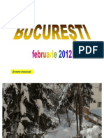 Bucuresti-Februarie 2012