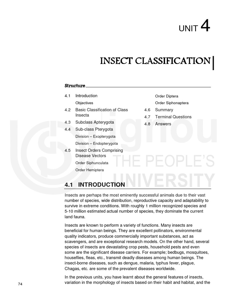 Insect Classification and Disease Vectors | PDF | Fly | Insects