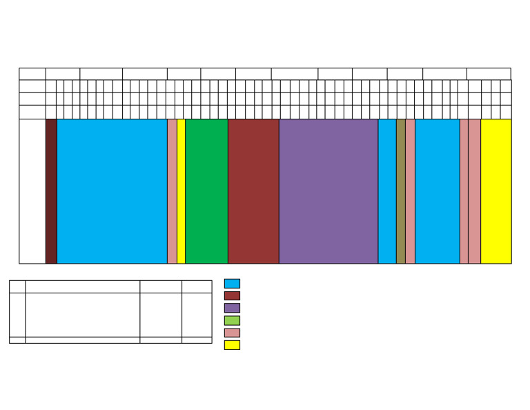ANM 1st Year Rotation Plan 2023-24 | PDF