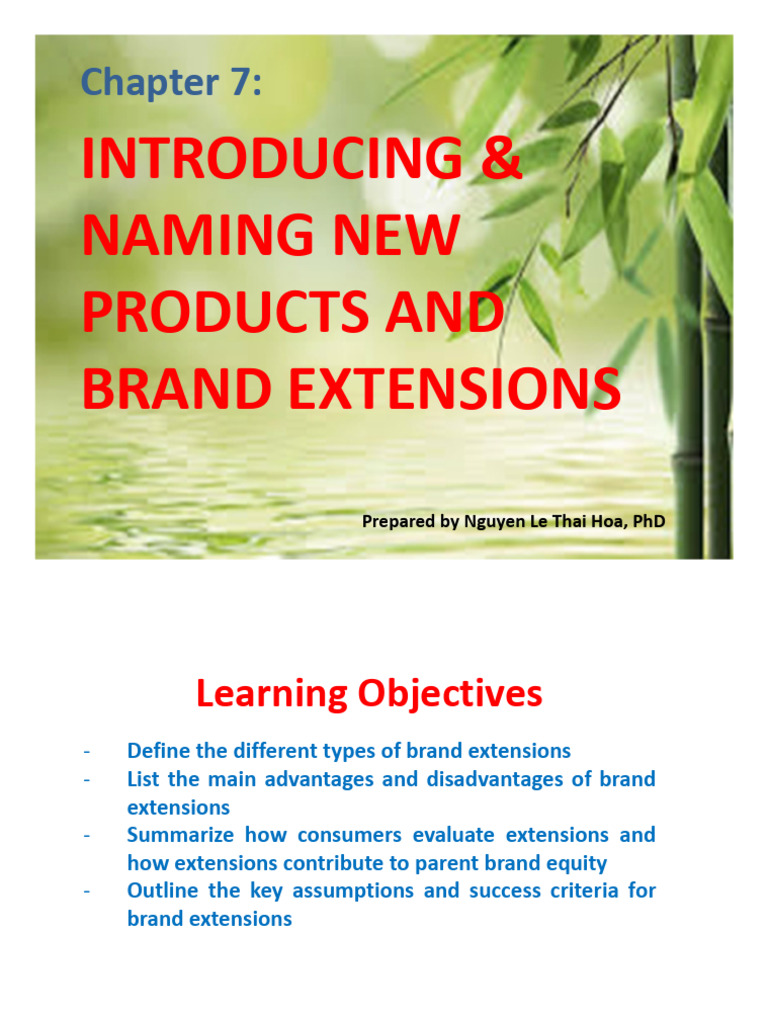 BRAND - Chapter 7 - Introducing and Naming New Products and Brand ...