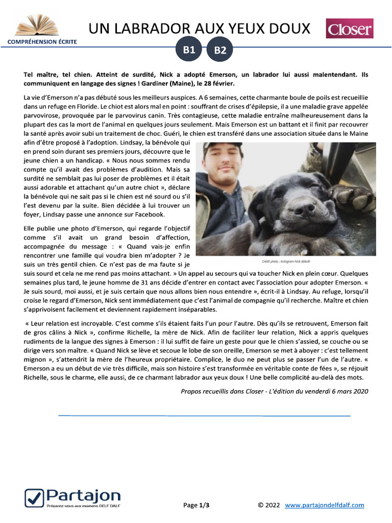 Un Labrador Aux Yeux Doux | PDF