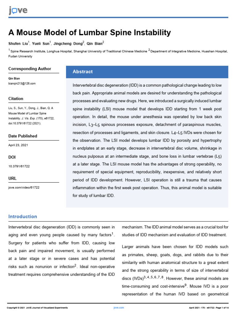 Mouse Model for Lumbar Spine Instability | PDF | Vertebra | Vertebral ...