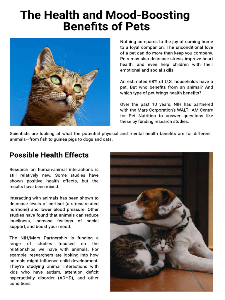 Pet Report | PDF