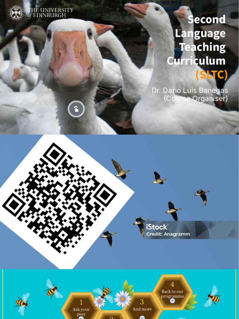 TESOL Curriculum Overview and Insights | PDF | Curriculum | English As ...