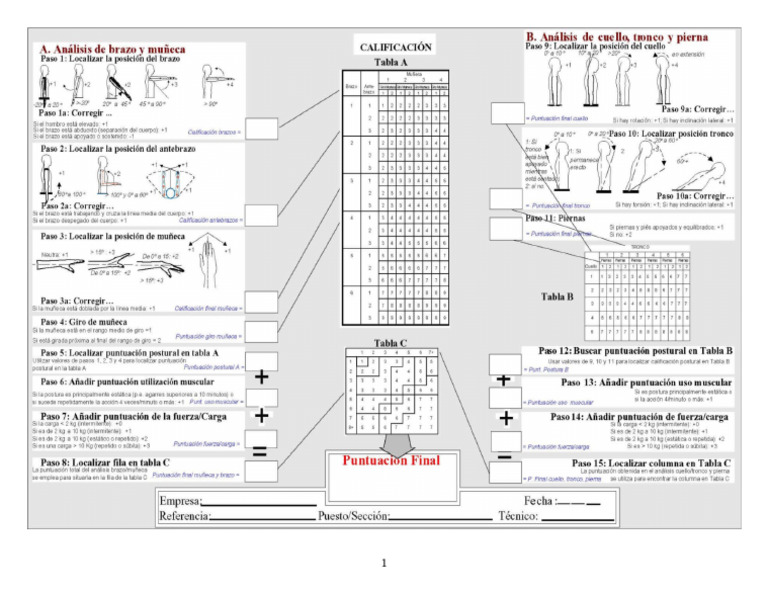 Hoja de Campo - RULA - Ergonomia | PDF