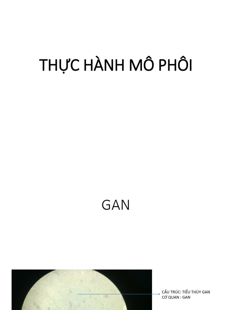 TH C Hành Mô Phôi Done | PDF