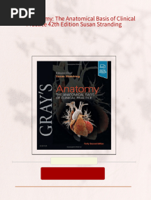 Gray's Anatomy: The Anatomical Basis of Clinical Practice 42th Edition Susan Stranding 2024 Scribd Download