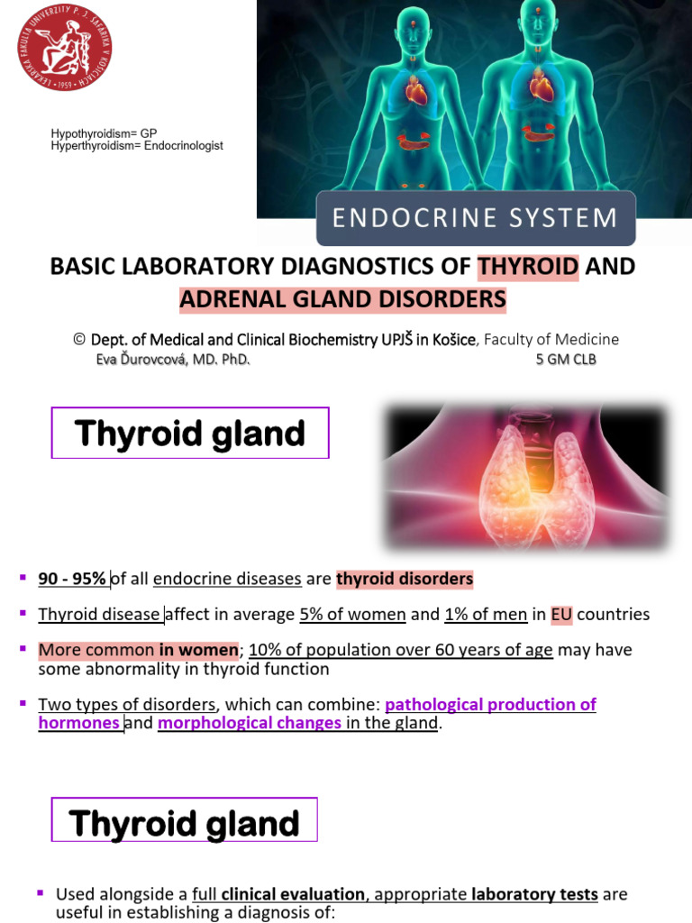 11 Endocrinoly Lab Testss 2 | PDF | Hypothyroidism | Thyroid