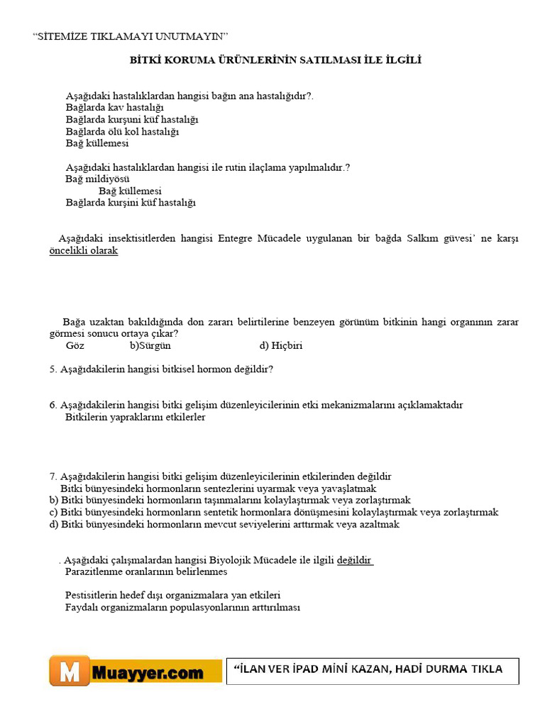 sorular 2 | PDF