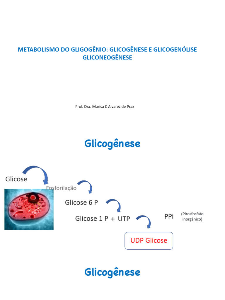 Metabolismo Do Glicogenio e Gliconeogenese | PDF | Metabolismo ...