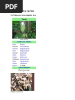 Download El Cacao by rufo angulo garvizu SN8267753 doc pdf