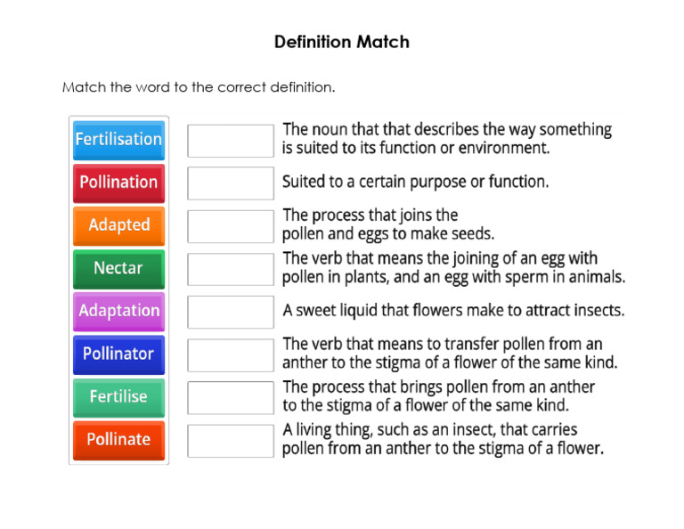 Word Definition Matching Exercise | PDF