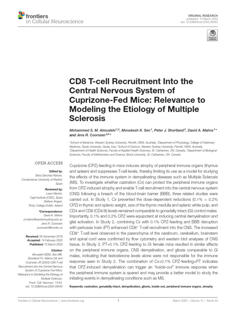 CD8 T-Cell Recruitment Into The Central Nervous System of Cuprizone-Fed ...
