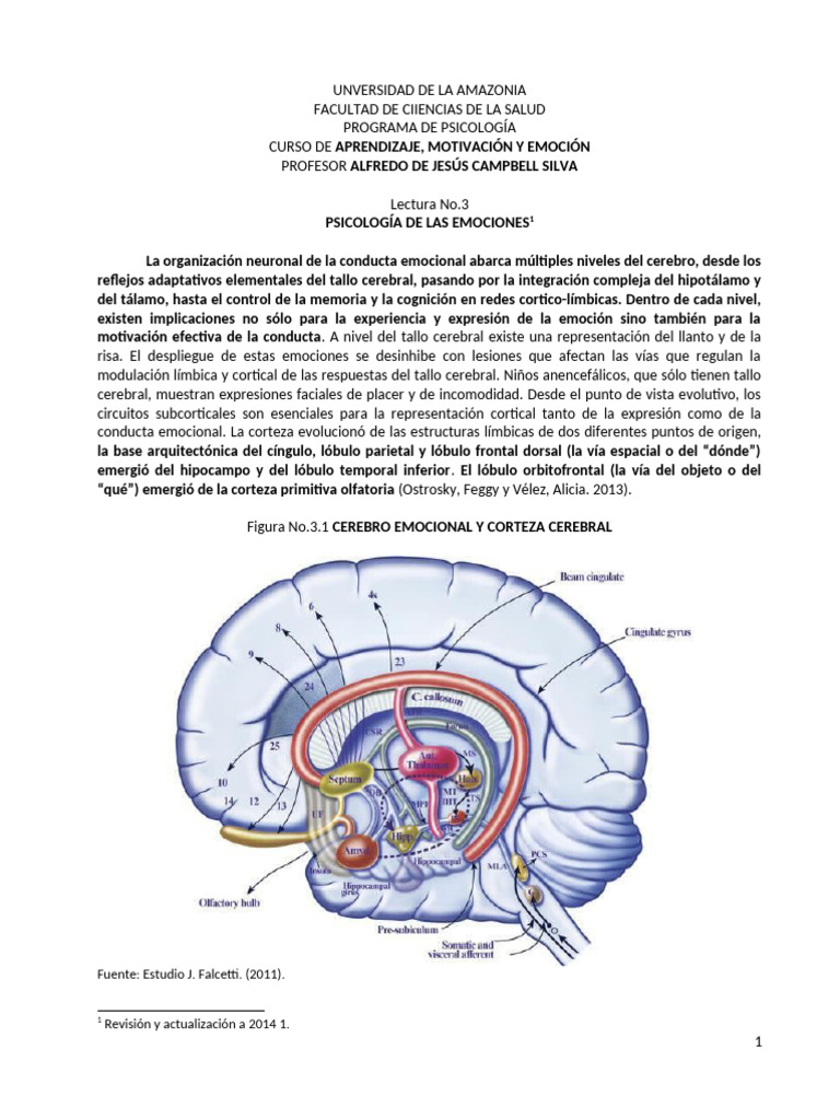 Psicología Emocional y la Amígdala | PDF | Las emociones | Cerebro