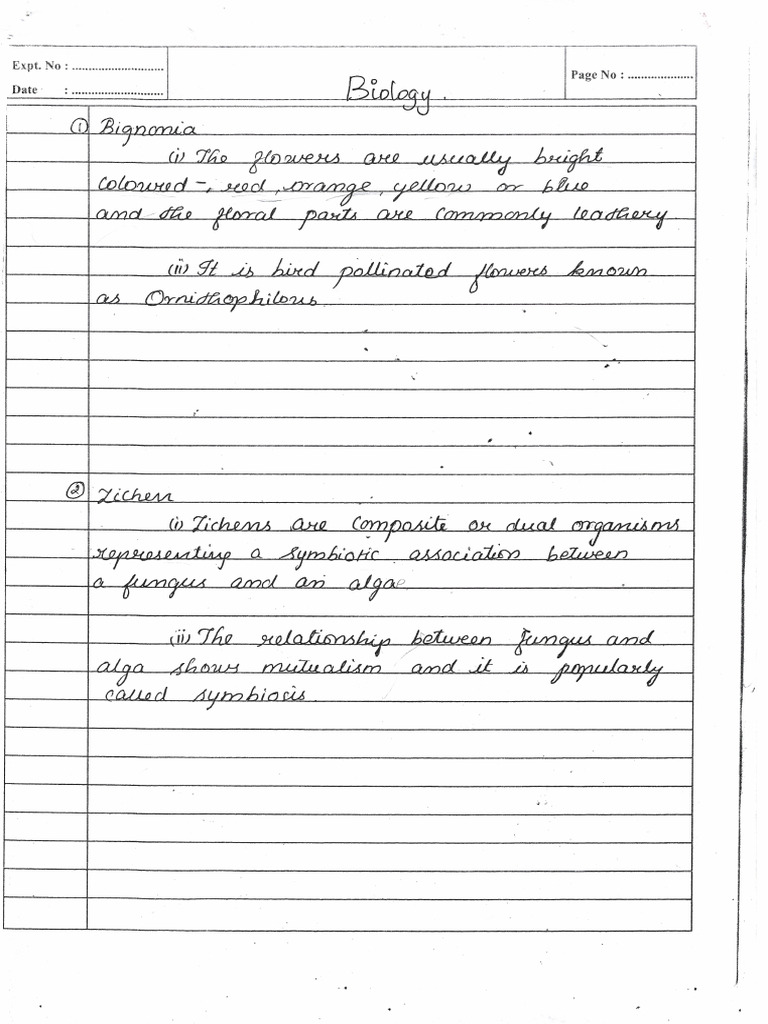 Handwritten 2025-01-24 203233 | PDF