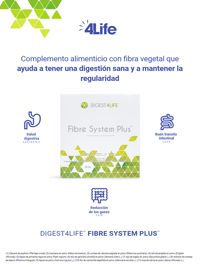 PPS Fibresystem Es | PDF