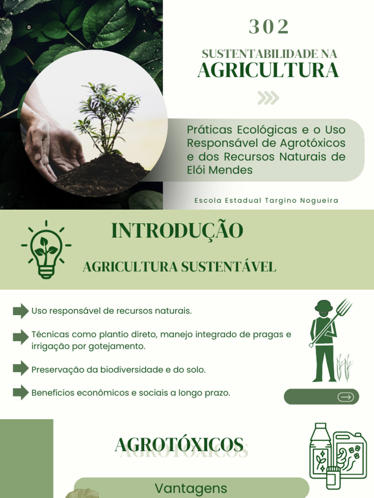 Green And Dark Green Minimalist Restoring The Forest Presentation Photo Inspiration